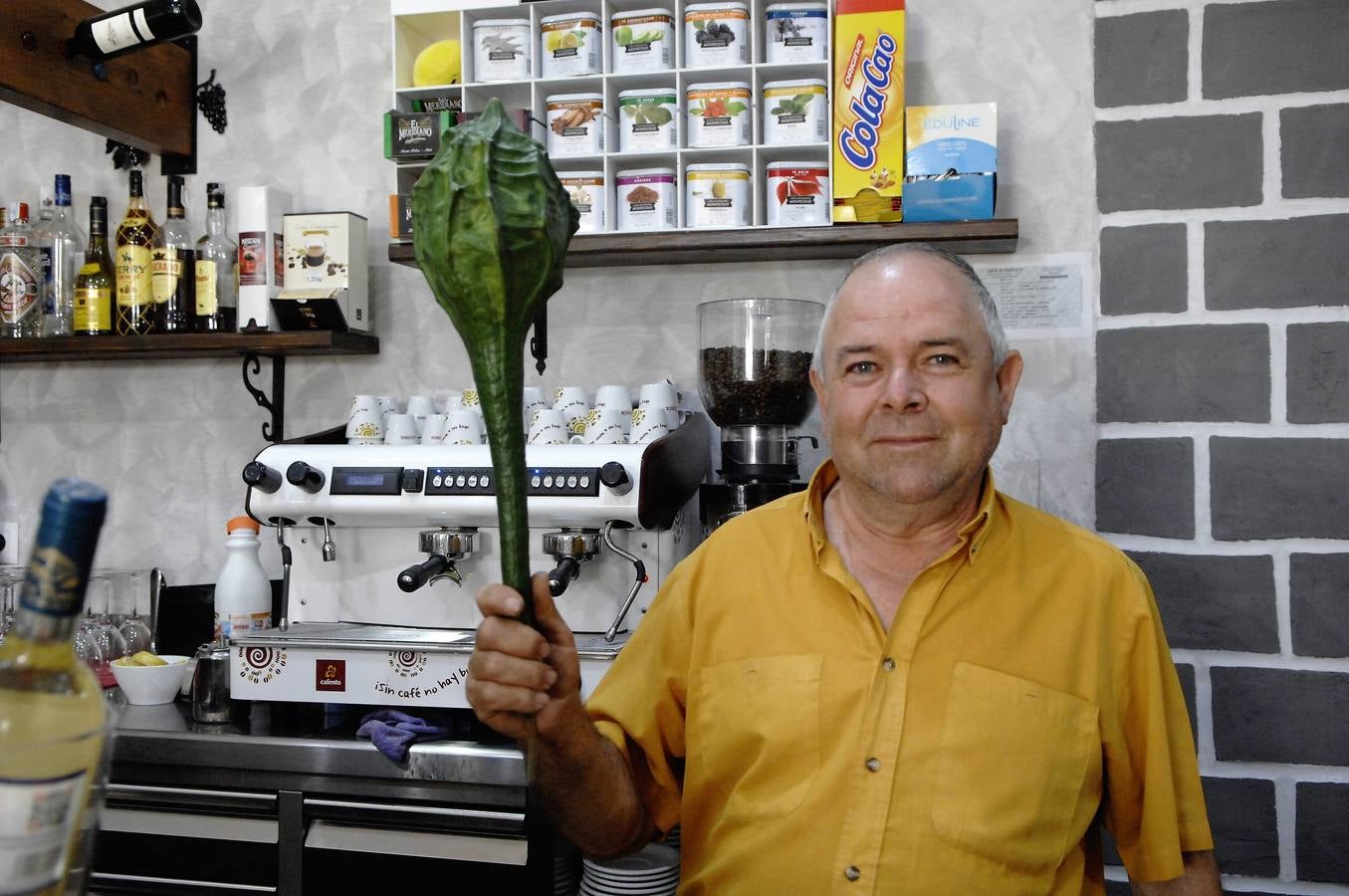 Feria y fiestas de Cádiar