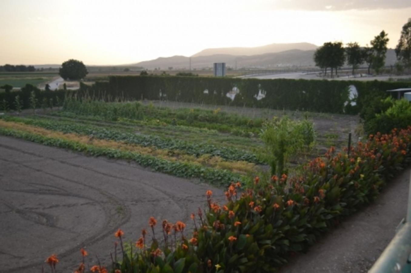 &#039;Se venden&#039; joyas del patrimonio