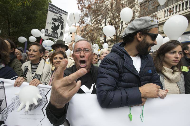Granada en la calle &quot;por dos hospitales completos&quot;