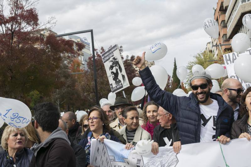 Granada en la calle &quot;por dos hospitales completos&quot;