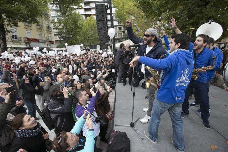 Granada en la calle &quot;por dos hospitales completos&quot;