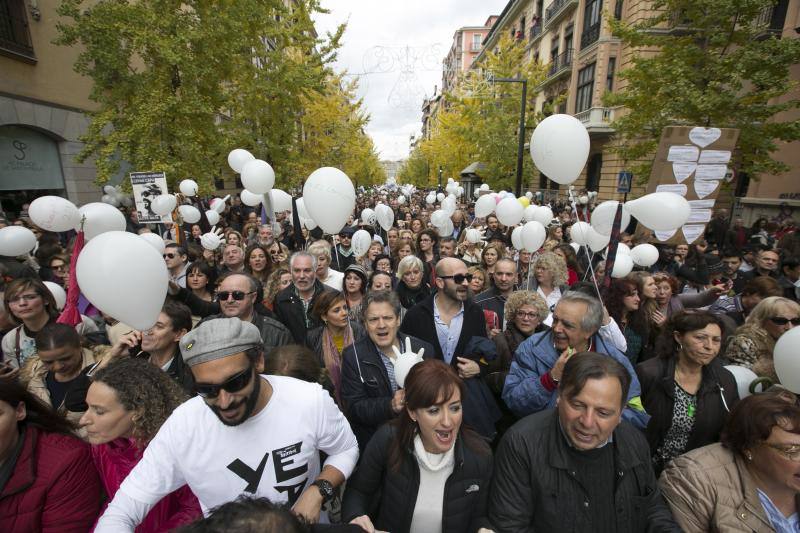 Granada en la calle &quot;por dos hospitales completos&quot;