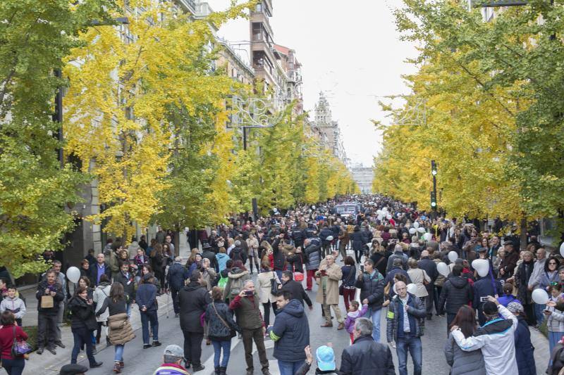Granada en la calle &quot;por dos hospitales completos&quot;