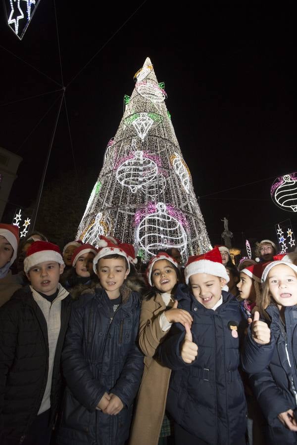 1,5 millones de &#039;leds&#039; iluminan la Navidad de Granada