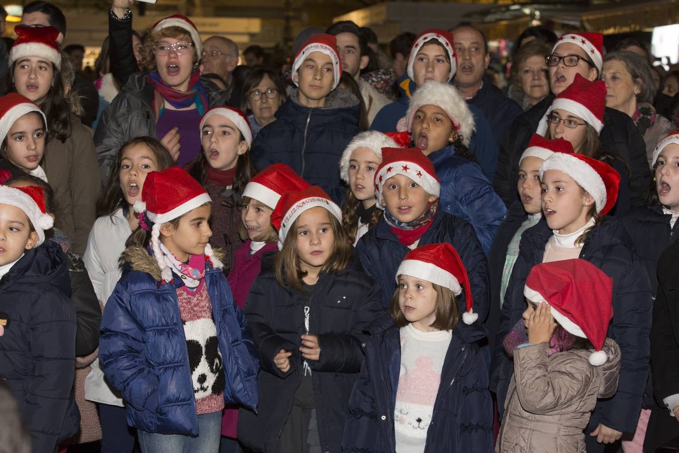 1,5 millones de &#039;leds&#039; iluminan la Navidad de Granada
