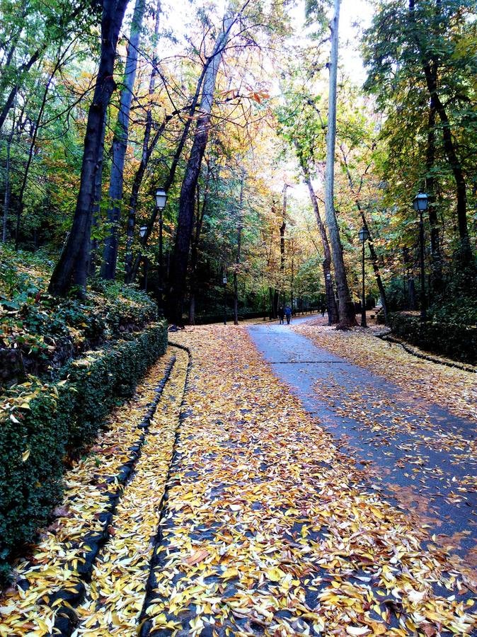 La belleza del otoño tardío