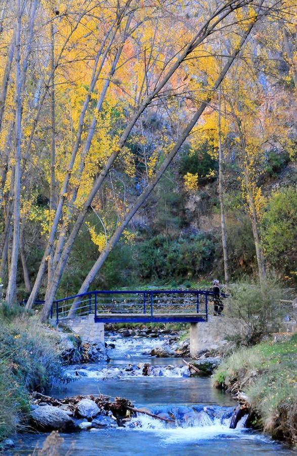 La belleza del otoño tardío