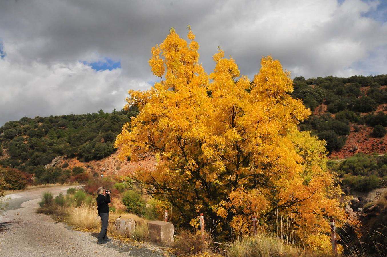 La belleza del otoño tardío