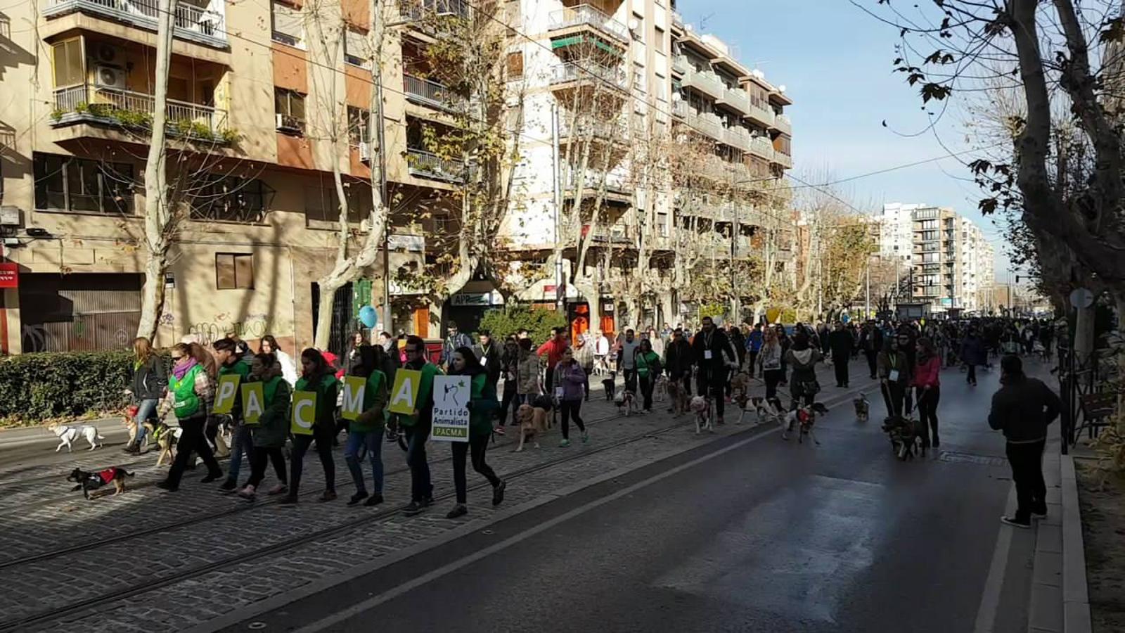 En busca de un hogar