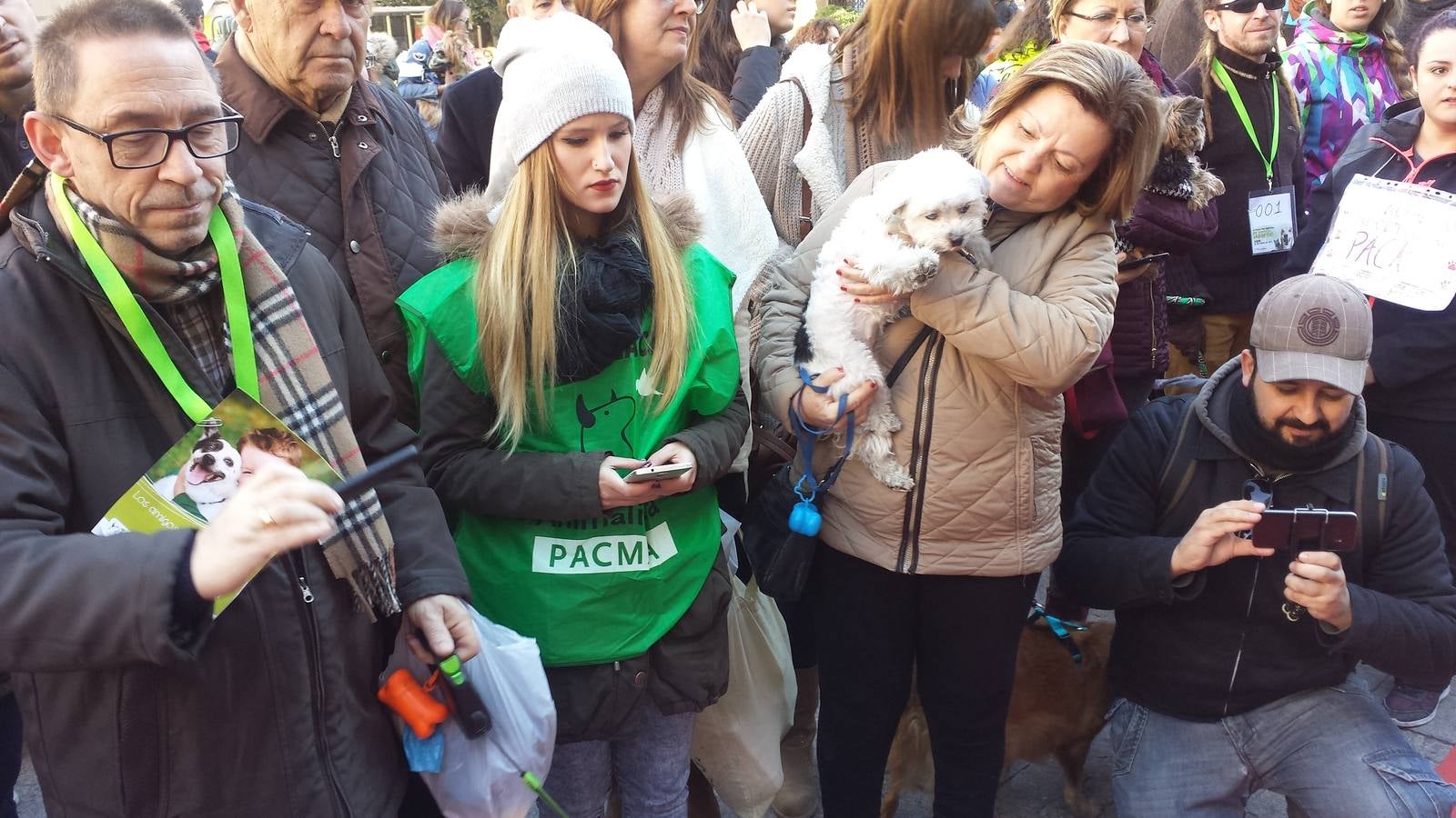 En busca de un hogar