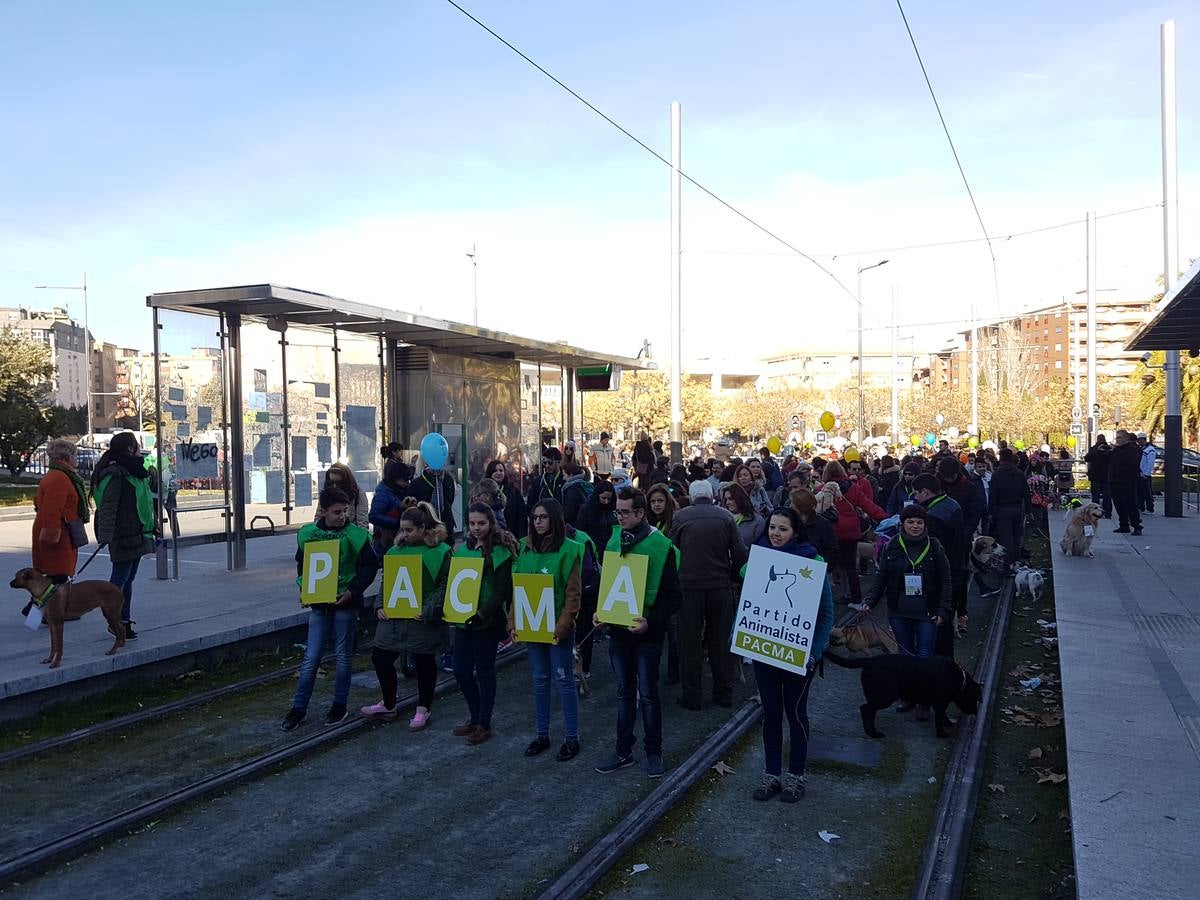 En busca de un hogar