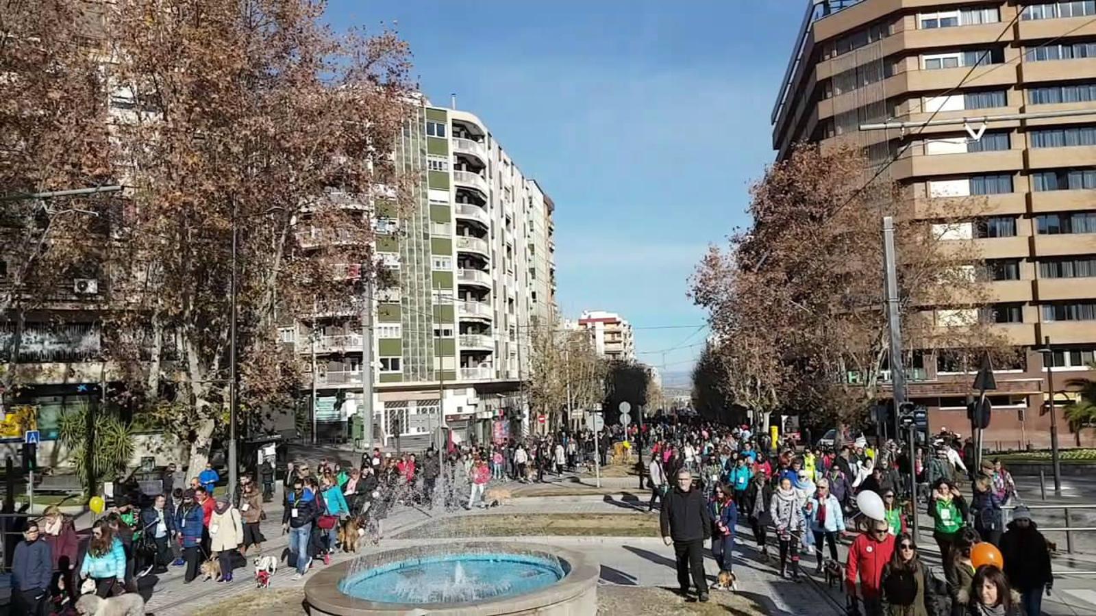 En busca de un hogar