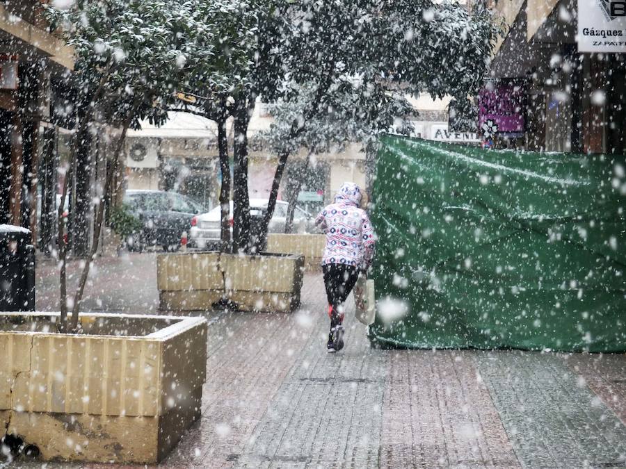 La nieve cae con fuerza en Guadix