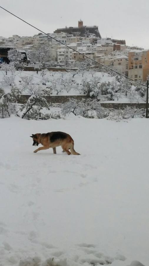 Nieve en Almería