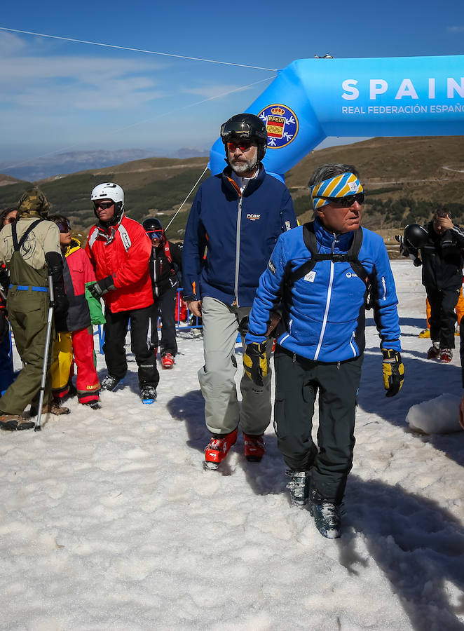 El Rey, en Sierra Nevada