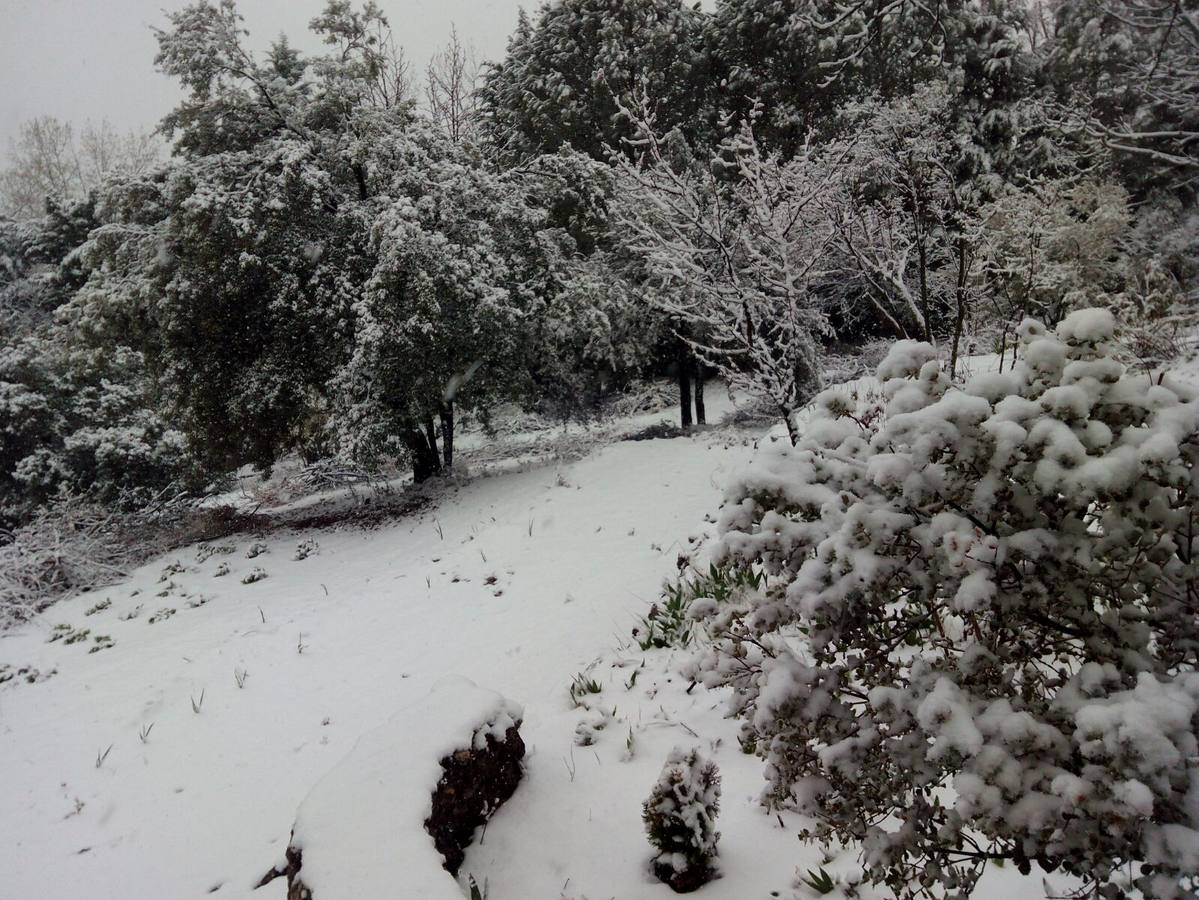 Así ha lucido hoy la provincia helada