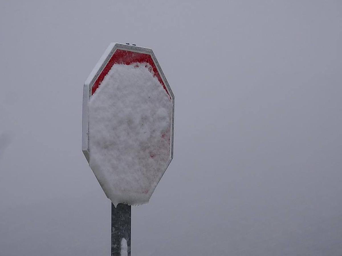 Así ha lucido hoy la provincia helada