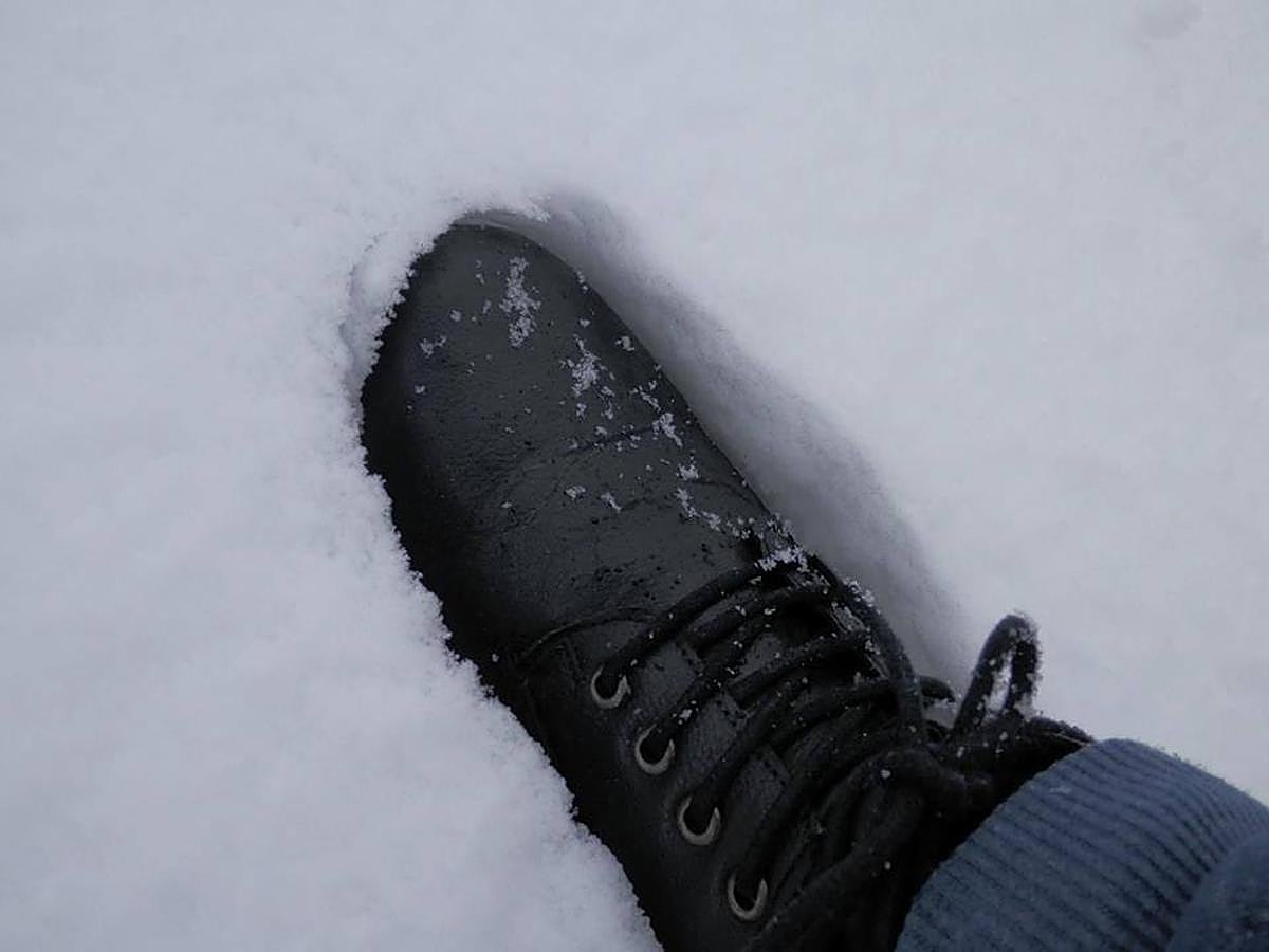 Así ha lucido hoy la provincia helada