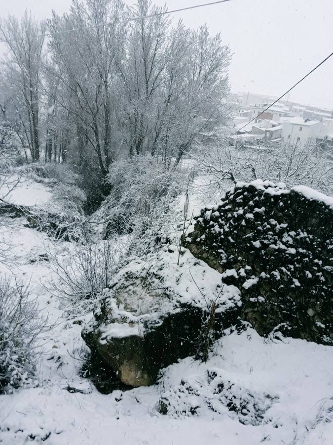 Así ha lucido hoy la provincia helada