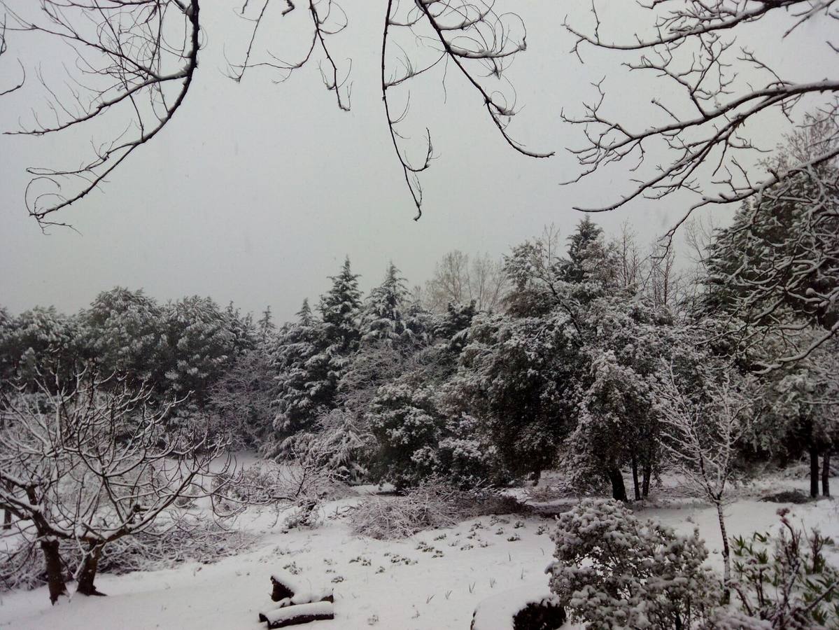 Así ha lucido hoy la provincia helada