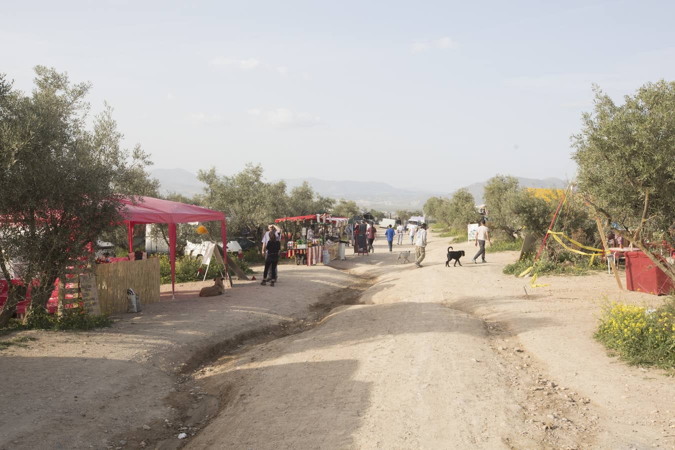 La Fiesta del Dragón de Santa Fe arranca sin fecha de cierre