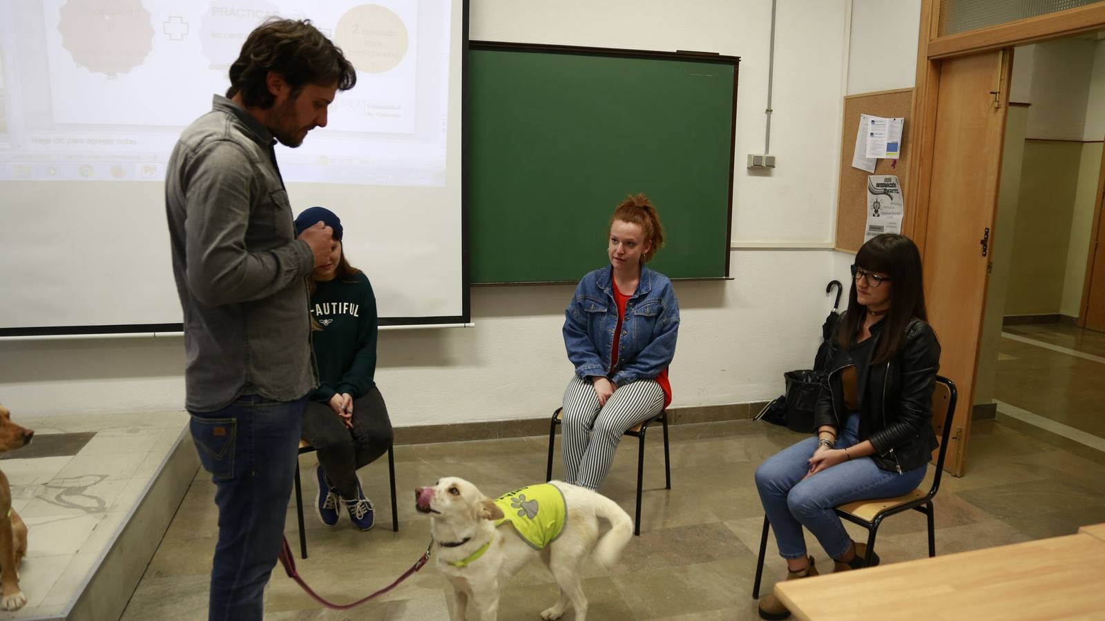 Los perros también &#039;enseñan&#039; en la UGR