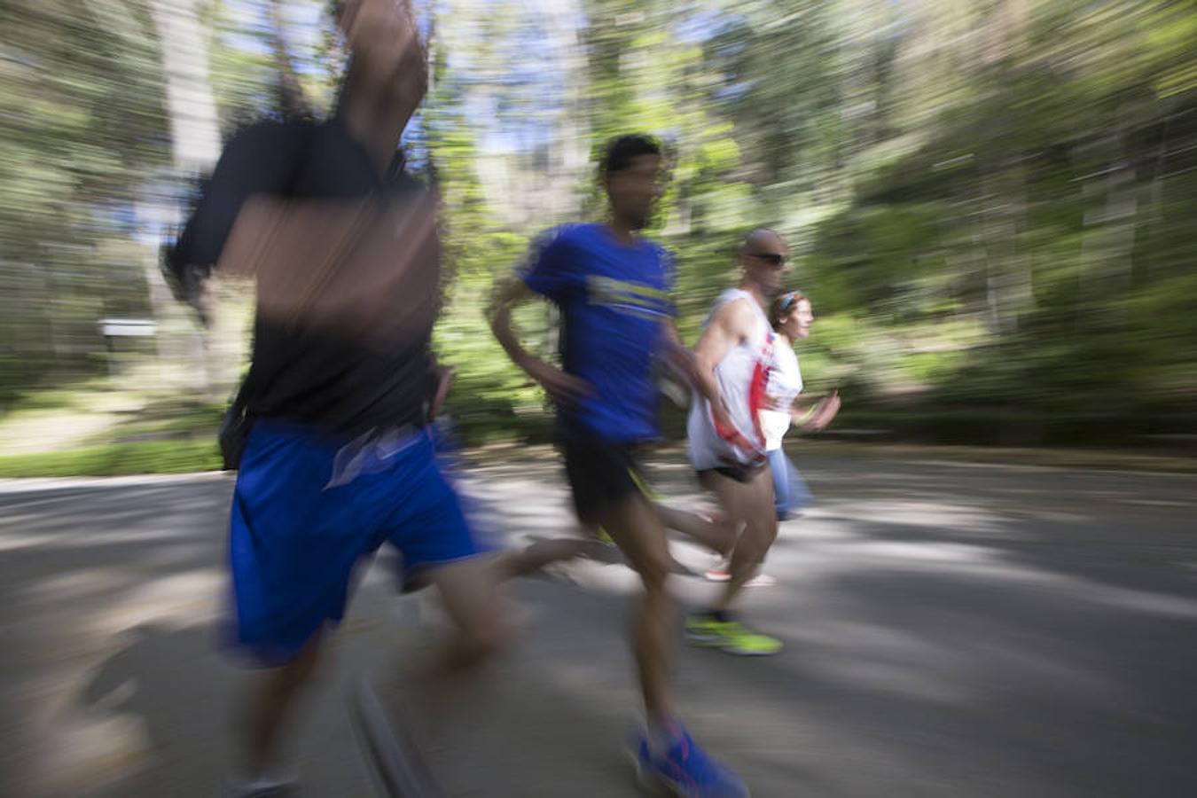 Granada apuesta por su medio maratón