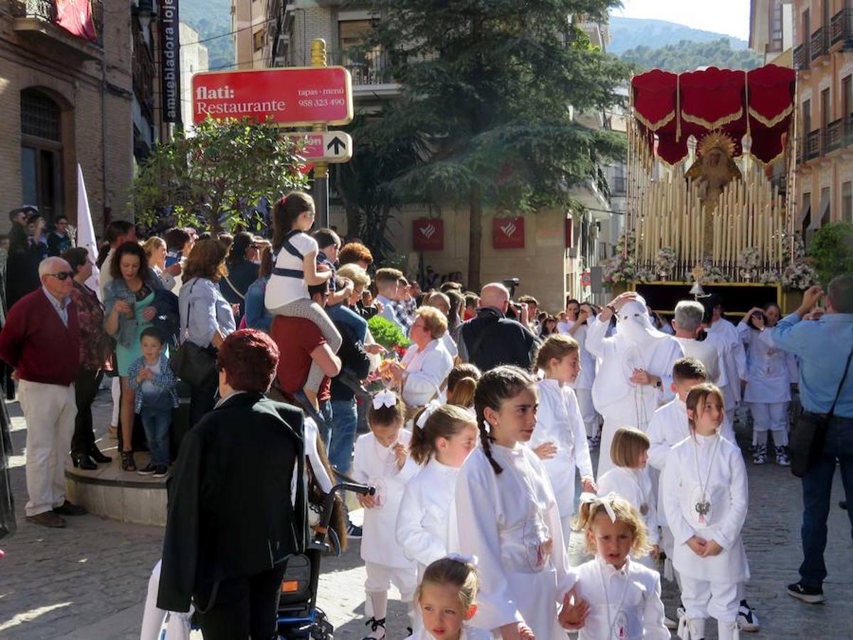 Domingo de Ramos en Loja