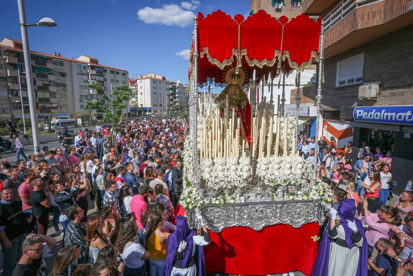 El año de la última carpa