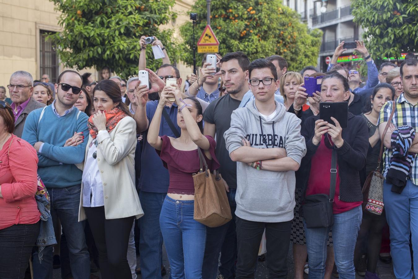 Cuando las chías tocan la trompeta