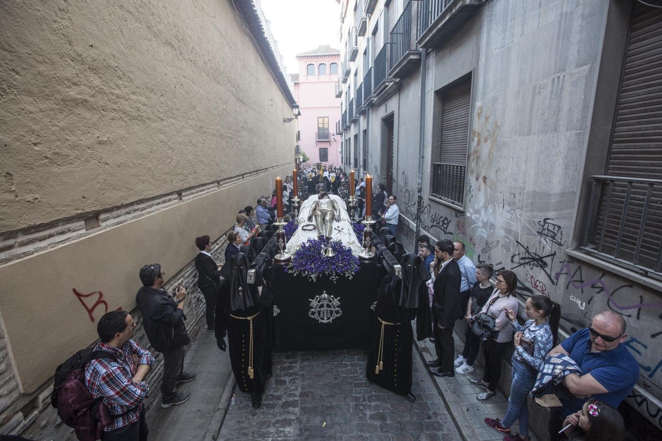 Cuando las chías tocan la trompeta