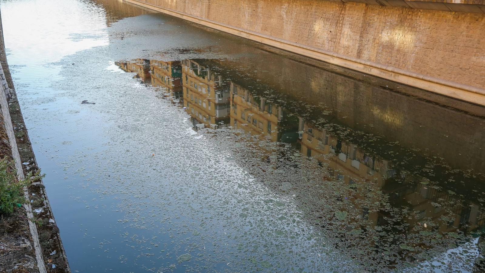 Un río de mosquitos y suciedad en Granada