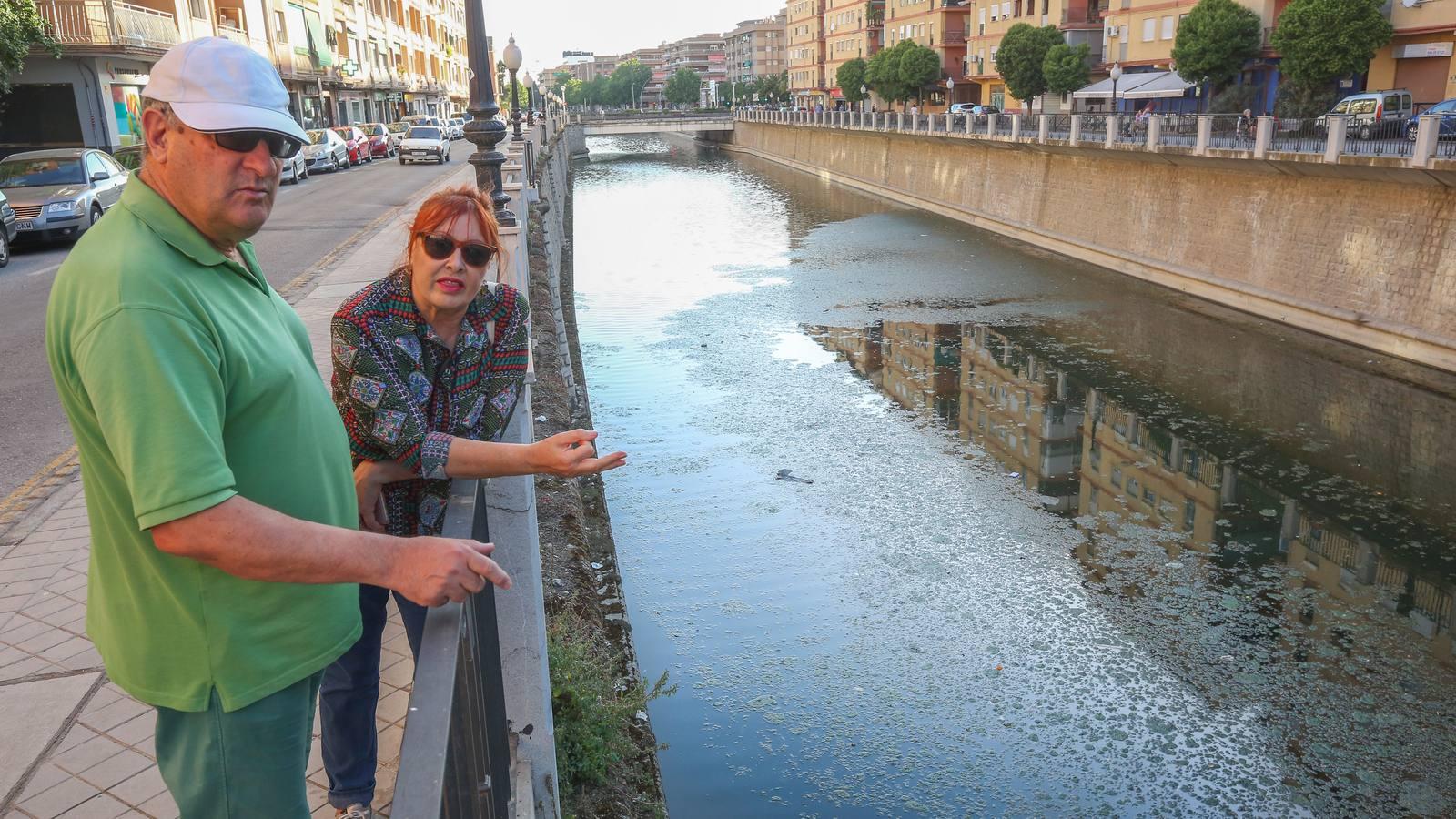 Un río de mosquitos y suciedad en Granada