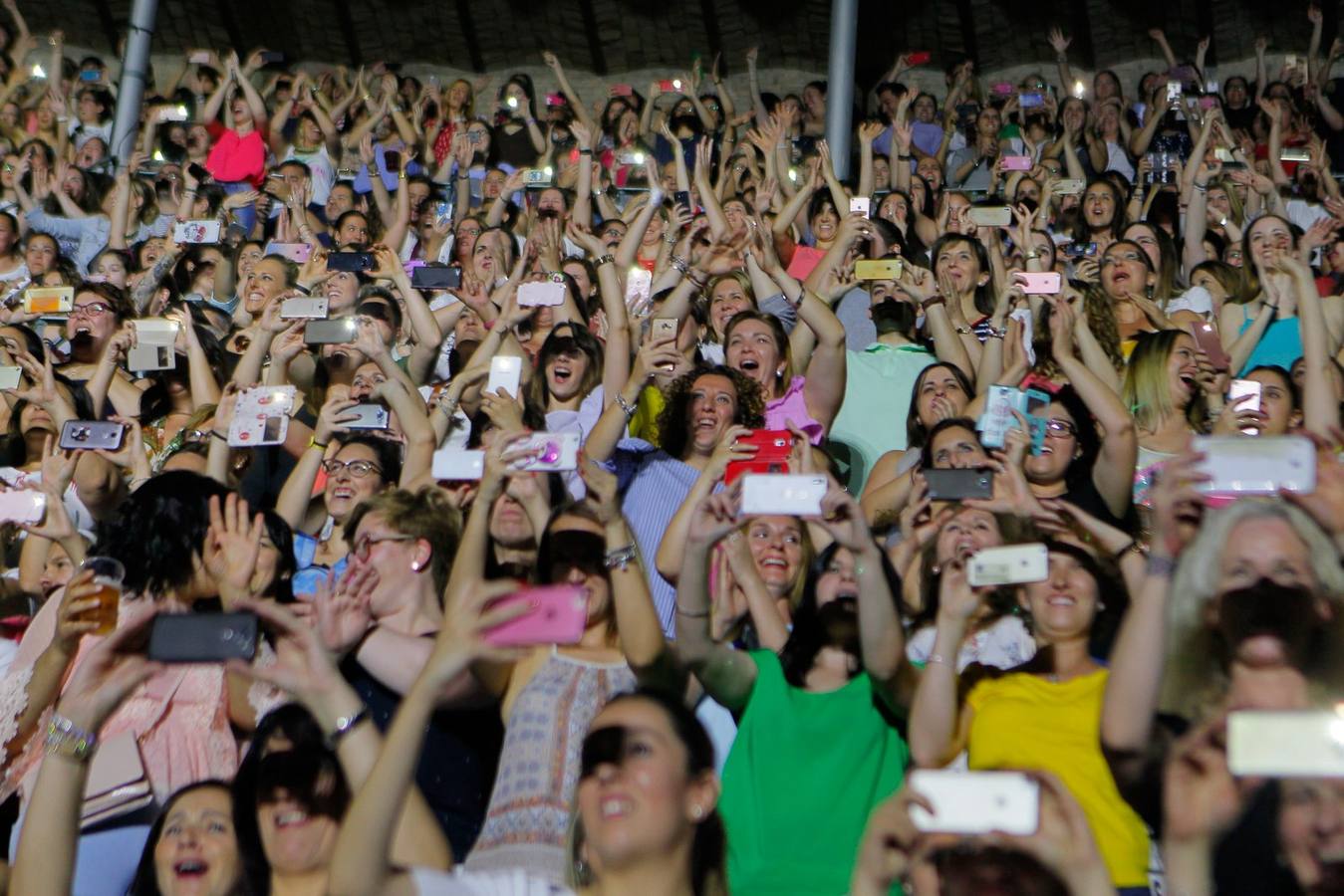 El mejor ambiente en el concierto de Ricky Martin en Granada