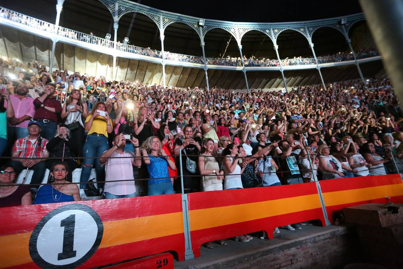 El mejor ambiente en el concierto de Ricky Martin en Granada