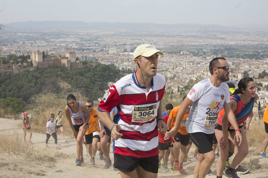Con la Alhambra al fondo (y IV)