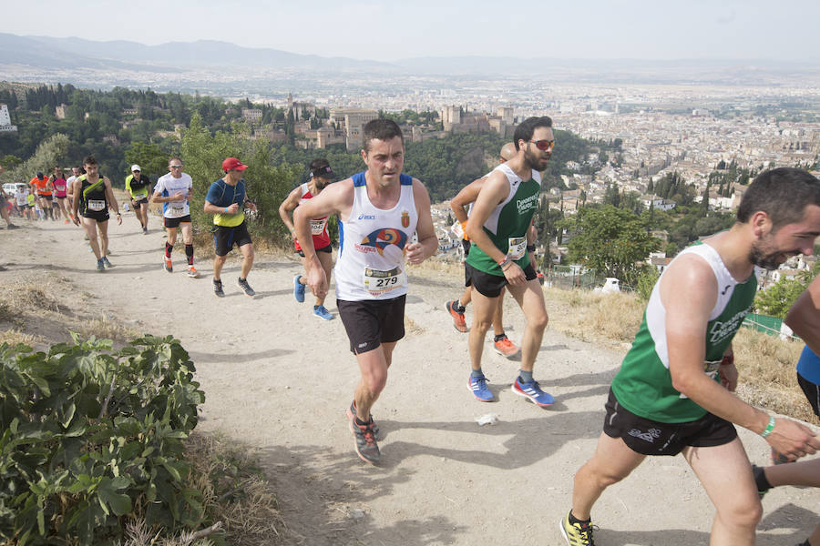 Con la Alhambra al fondo (II)