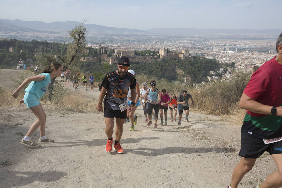 Con la Alhambra al fondo (II)