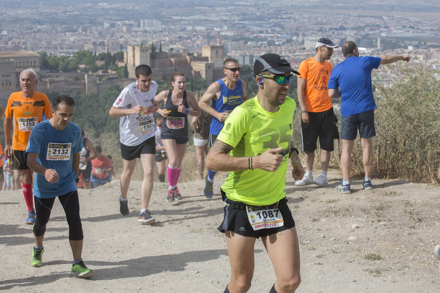 Con la Alhambra al fondo (III)