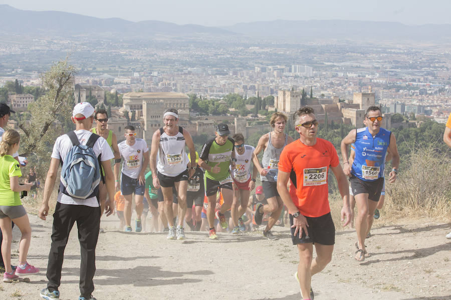 Con la Alhambra al fondo (III)