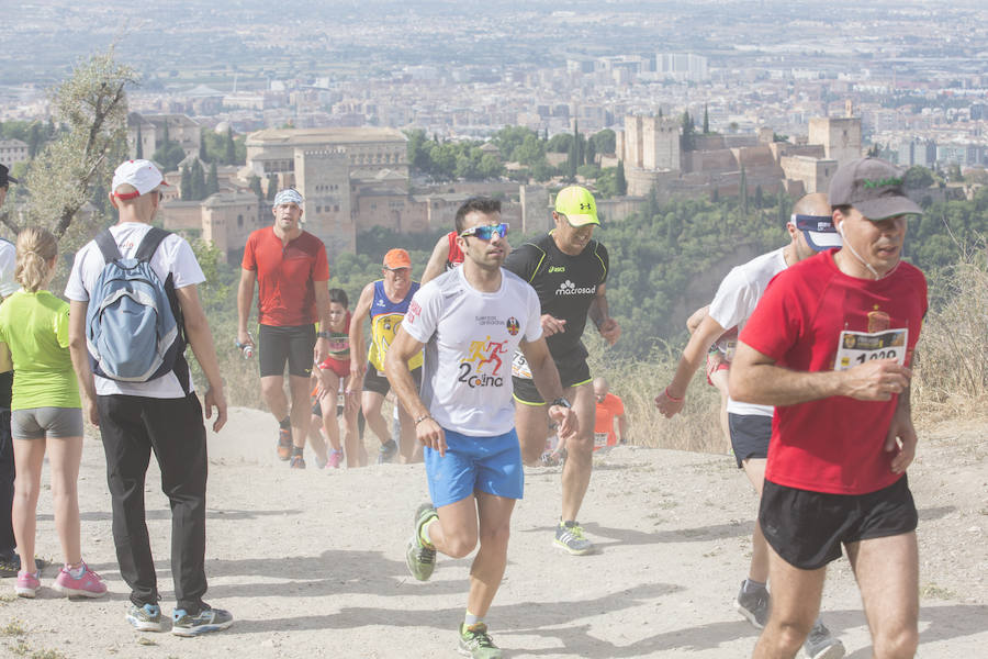 Con la Alhambra al fondo (III)