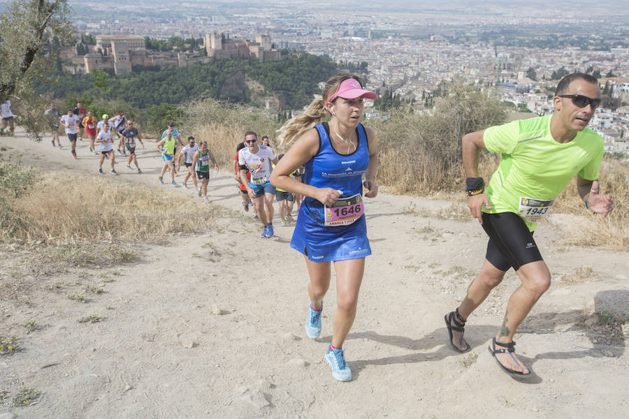 Con la Alhambra al fondo (III)
