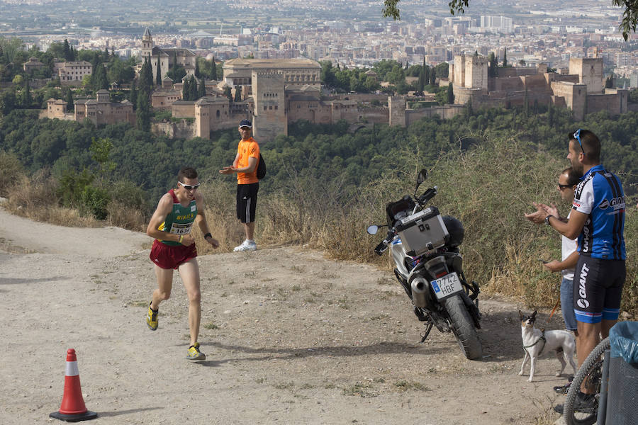 Con la Alhambra al fondo (I)