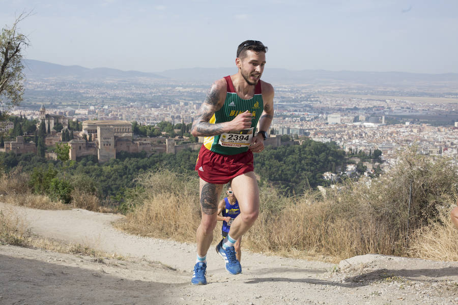 Con la Alhambra al fondo (I)