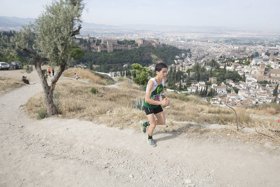 Con la Alhambra al fondo (I)