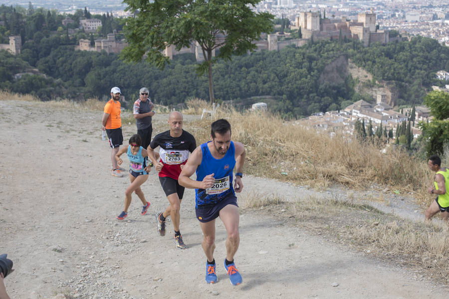 Con la Alhambra al fondo (I)