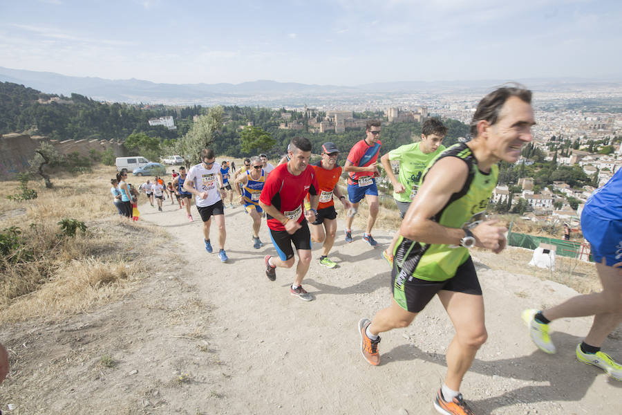 Con la Alhambra al fondo (I)