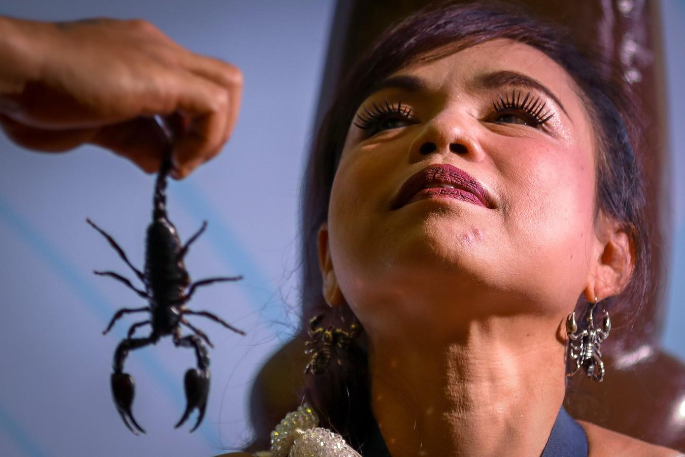 Así bate el Récord Guiness de permanecer más tiempo con un escorpión en su boca