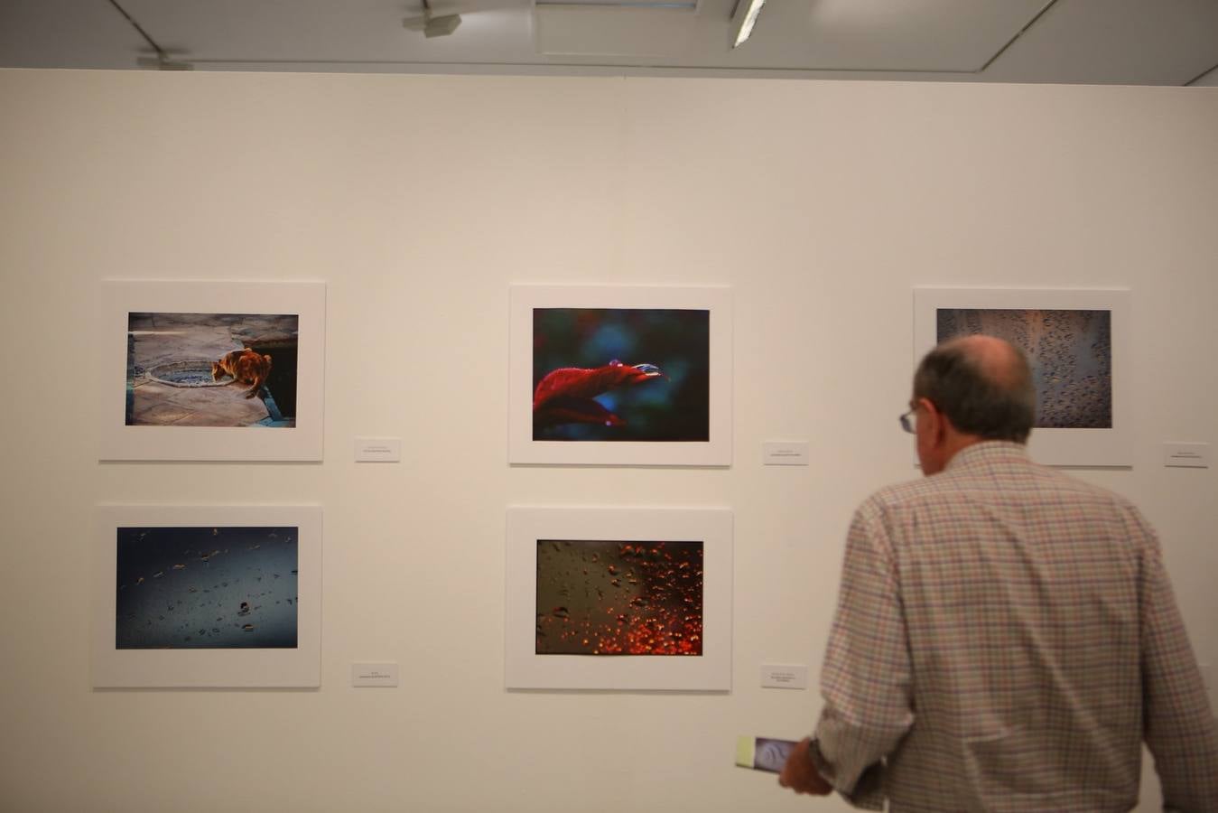 &#039;Sendero de agua&#039;, primer premio de AguaGranada