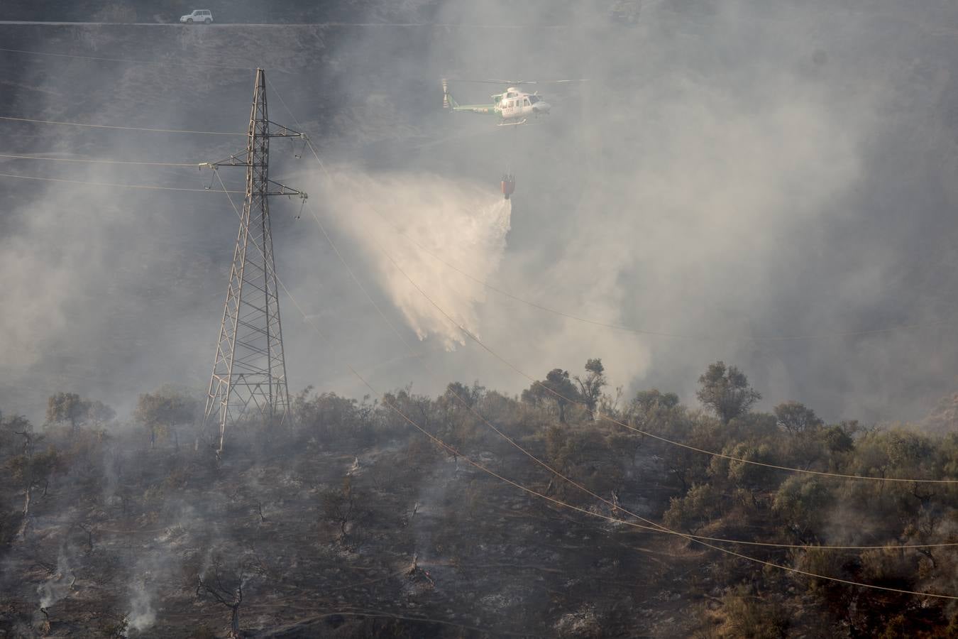Las imágenes del incendio en el barranco de San Jerónimo